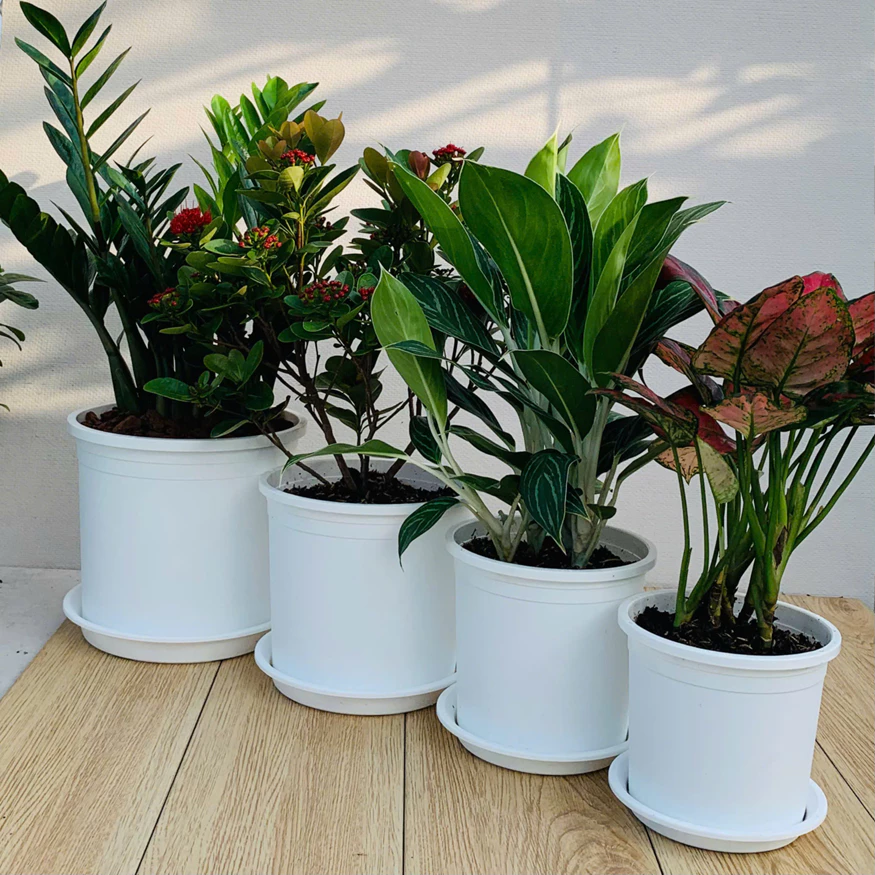 vn-11134208-7ras8-m5z3tydb1y5y3b@resize_w875_nl