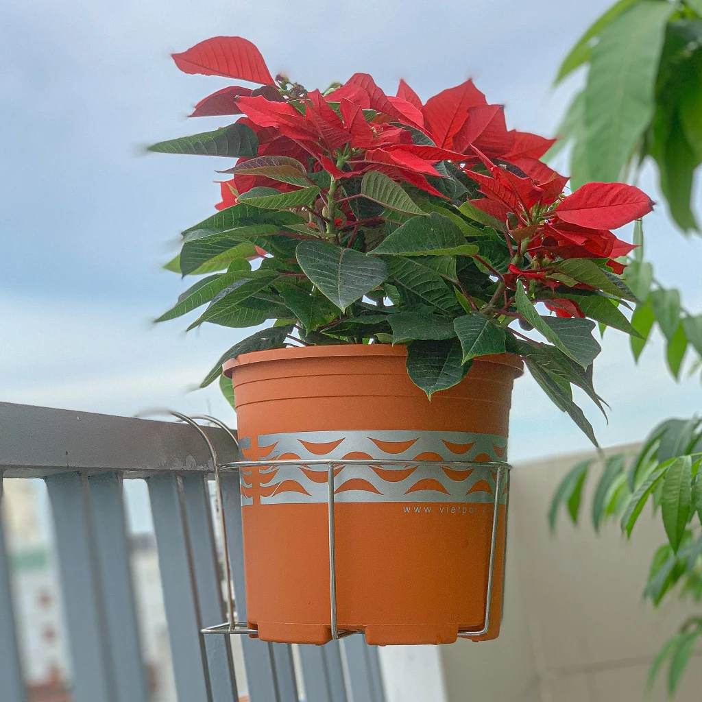 Bộ chậu hoa văn Lượn Sóng