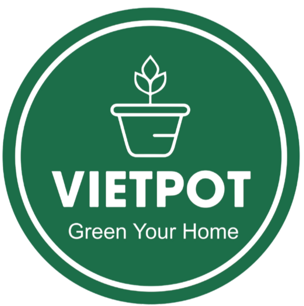 Chậu nhựa Vietpot